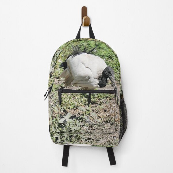 Item preview, r2455/ 9 parc-ornithologique-de-st-hilaire-la-palud - L' Ibis sacré - 2020 par Okaio Créations - Olavia&Olao designed and sold by o.okaïo.