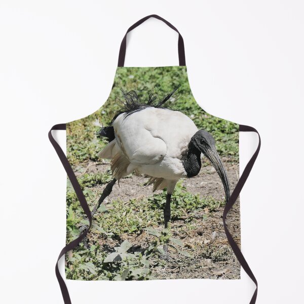 Item preview, r2455/ 9 parc-ornithologique-de-st-hilaire-la-palud - L' Ibis sacré - 2020 par Okaio Créations - Olavia&Olao designed and sold by o.okaïo.
