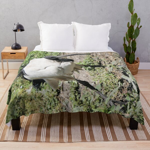 Item preview, r2455/ 9 parc-ornithologique-de-st-hilaire-la-palud - L' Ibis sacré -  2020 par Okaio Créations - Olavia&Olao designed and sold by o.okaïo.
