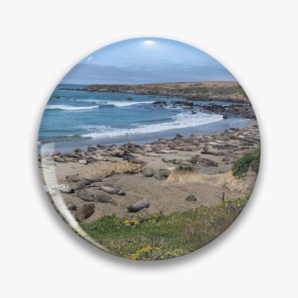 Item preview, Sea Lions designed and sold by WiseWanderings.