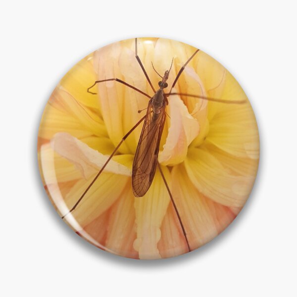 Item preview, Cranefly and flower in the rain, Lewes, Sussex designed and sold by Emma  Amies.