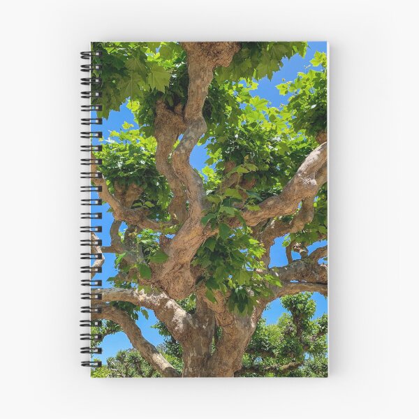 Item preview, Tree designed and sold by WiseWanderings.