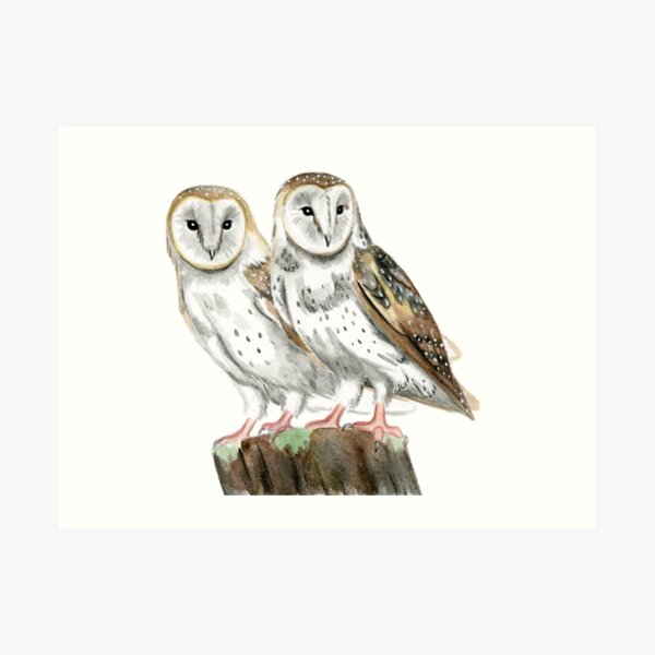 Watercolor Barn Owls Art Print