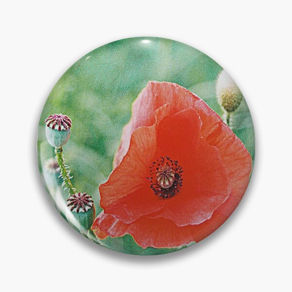 Item preview, Summer Poppy designed and sold by SteveHoltPhoto.