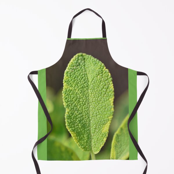 Item preview, Herbs - gold leaf sage in the urban garden designed and sold by wineandwords.