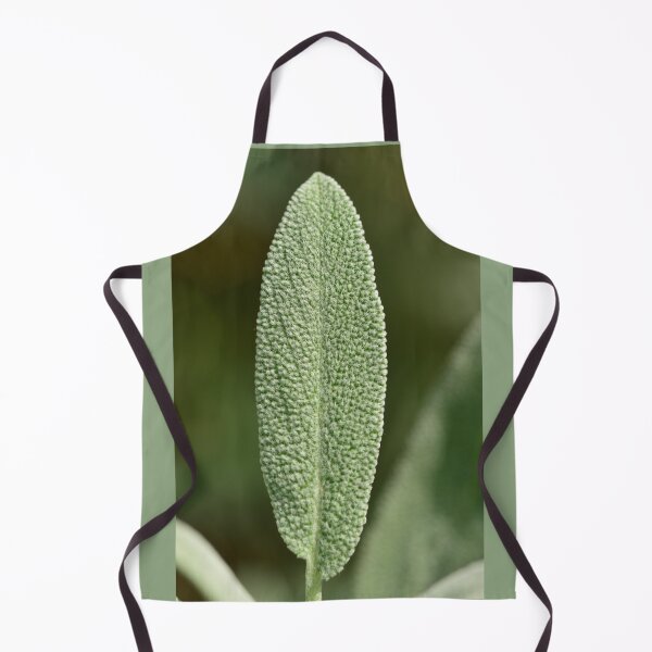 Item preview, Herbs - sage leaf designed and sold by wineandwords.