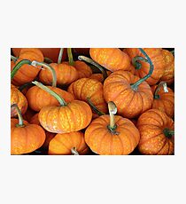 Mini pumpkins Photographic Print