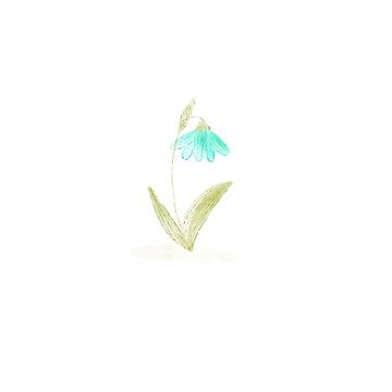 Artwork thumbnail, Galanthus . Botanical illustration. Spring snowdrop. by vectormarketnet