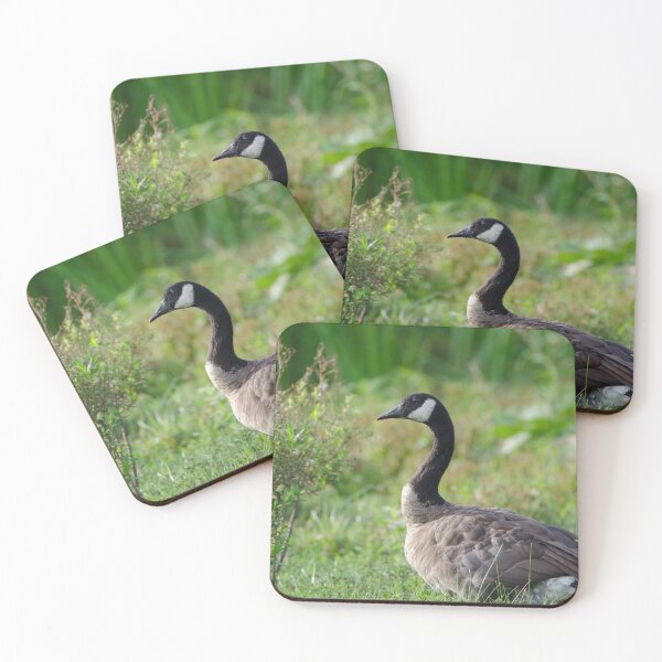 Item preview,  (Branta canadensis) designed and sold by rodmacpherson.
