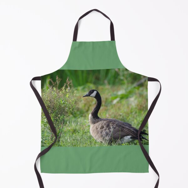 Item preview, (Branta canadensis) designed and sold by rodmacpherson.