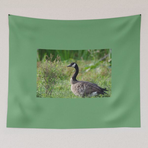 Item preview,  (Branta canadensis) designed and sold by rodmacpherson.