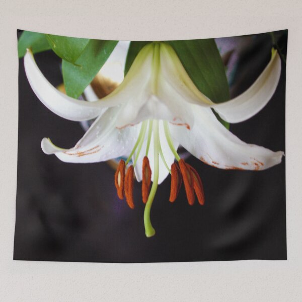 Item preview, Juicy Flying Casablanca Lily  designed and sold by Nobiya.