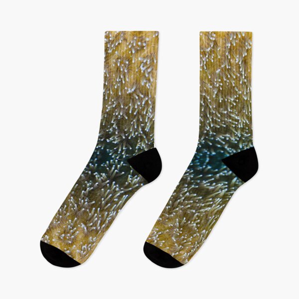 Item preview, Pillar Coral Vertical designed and sold by Caitlin Chock.