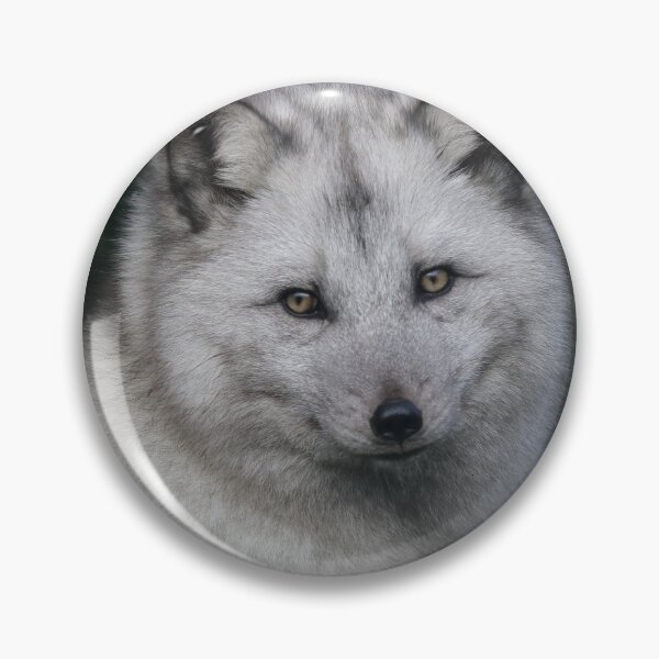Item preview, Arctic Fox  designed and sold by Dorothy Thomson.