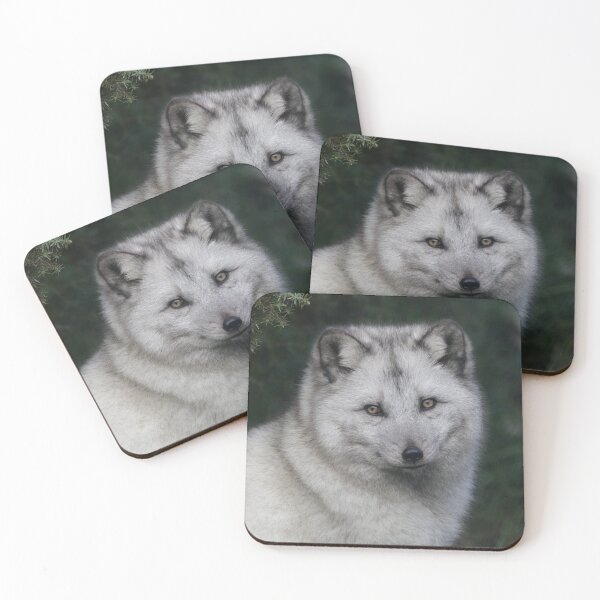 Item preview, Arctic Fox  designed and sold by Dorothy Thomson.