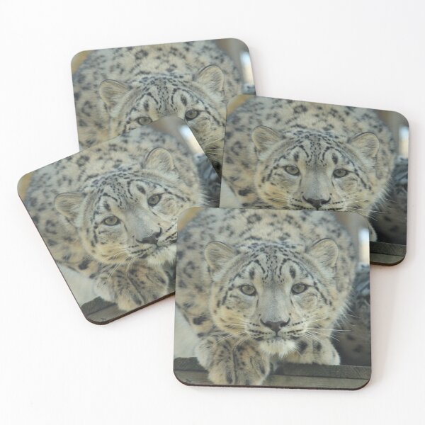 Item preview, Intent designed and sold by TSW-Images.
