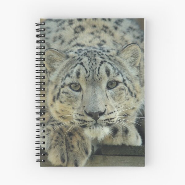 Item preview, Intent designed and sold by TSW-Images.