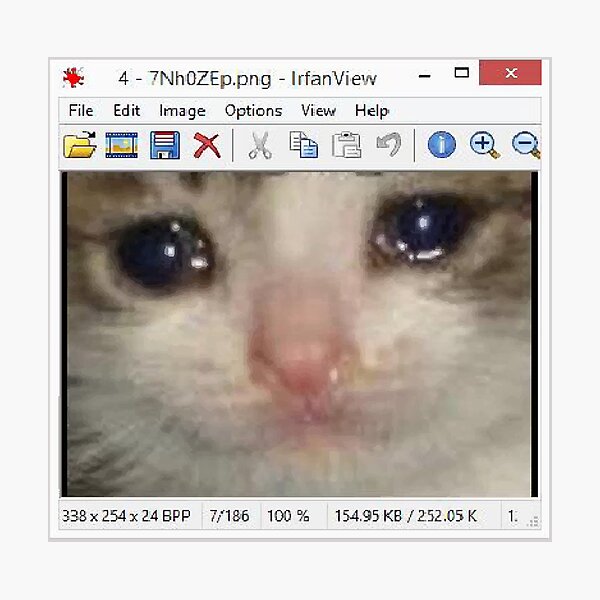 Impressions Photo Sur Le Theme Meme De Chat Triste Redbubble