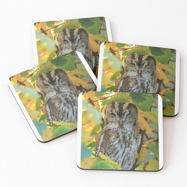 Item preview, Tawny in Autumn designed and sold by TSW-Images.