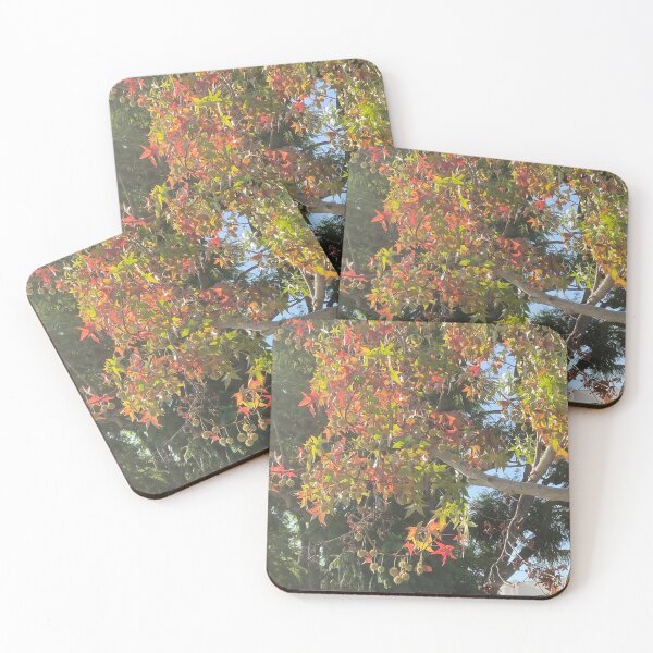 Item preview, Leaves are Changing Color designed and sold by Taranodongirl7.