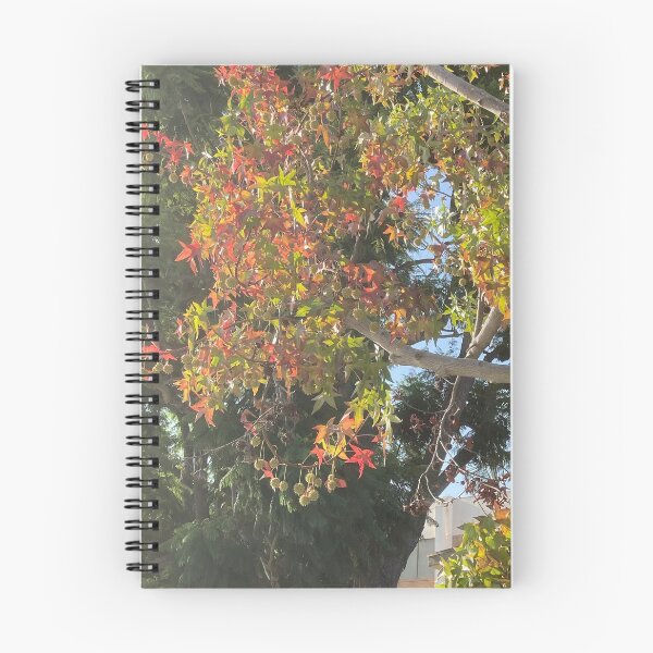 Item preview, Leaves are Changing Color designed and sold by Taranodongirl7.