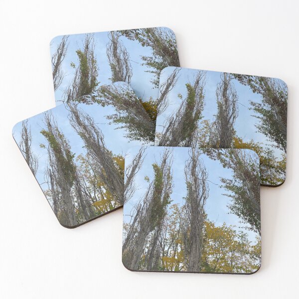 Item preview, Creepy trees designed and sold by Sailor Moon Memes.