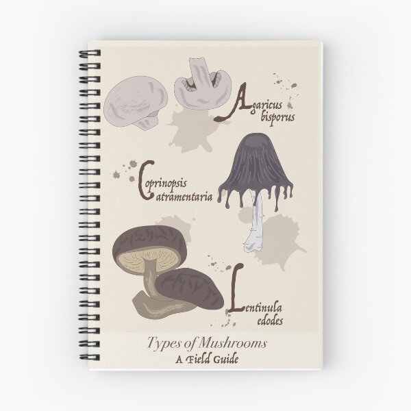 Item preview, Types of Mushrooms Poster designed and sold by artbyclairej.