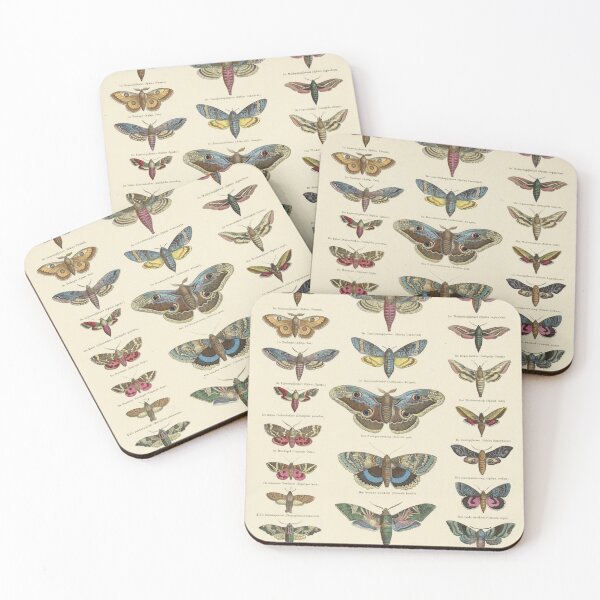 Item preview, Moths - Ernst Fröhlich, 1843 - c. 1920 designed and sold by Gin  Neko.