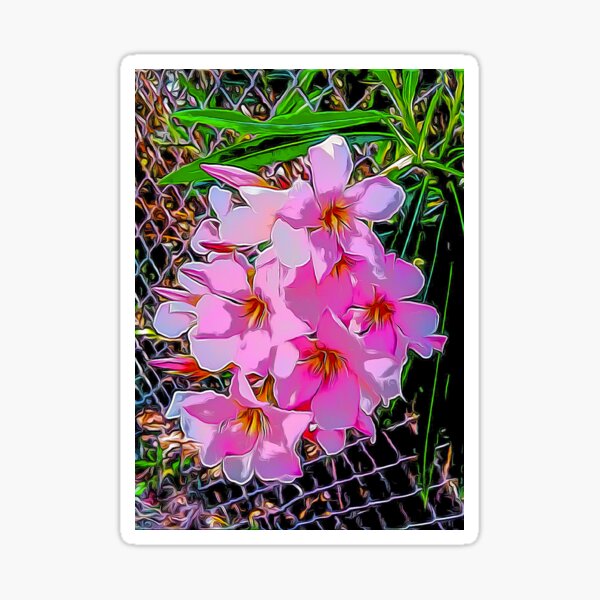 Plush Pinks2 Sticker