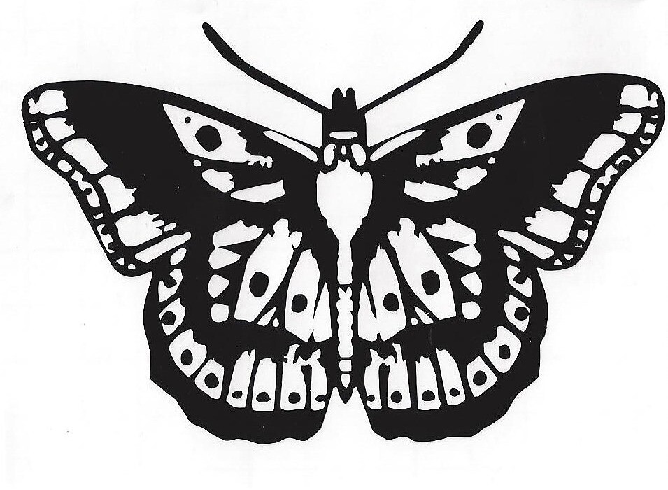 "Harry Styles Butterfly Tattoo" by Willow Hudson | Redbubble
