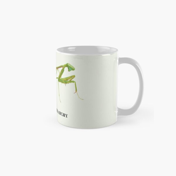 https://ih1.redbubble.net/image.1724192746.5585/mug,standard,x334,right-pad,600x600,f8f8f8.jpg