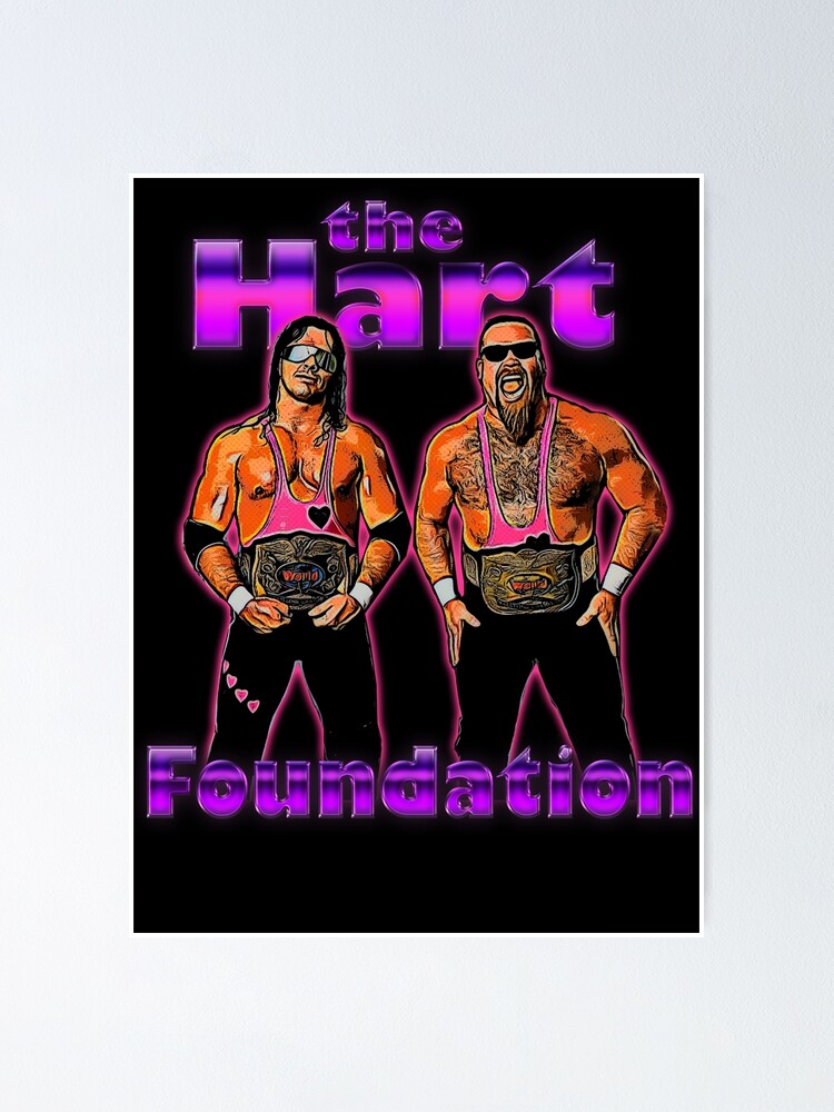 アメコミ HART FOUNDATION WWE Coliseum Collection Hart Foundation Action Figure 2-Pack