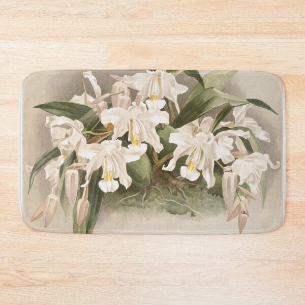 Item preview, Reichenbachia: Orchids Illustrated and Described designed and sold by EsotericBotanic.