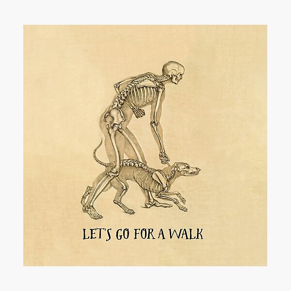 Item preview, Let's go for a walk: skeletal view of a man and his dog. 1860 designed and sold by ebrawne.