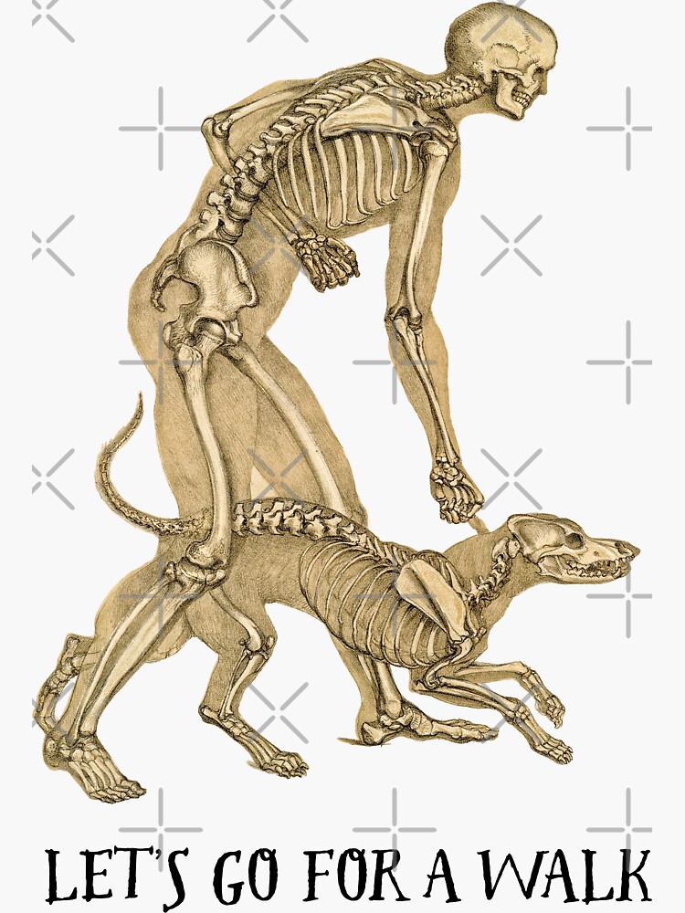 Let's go for a walk: skeletal view of a man and his 1860