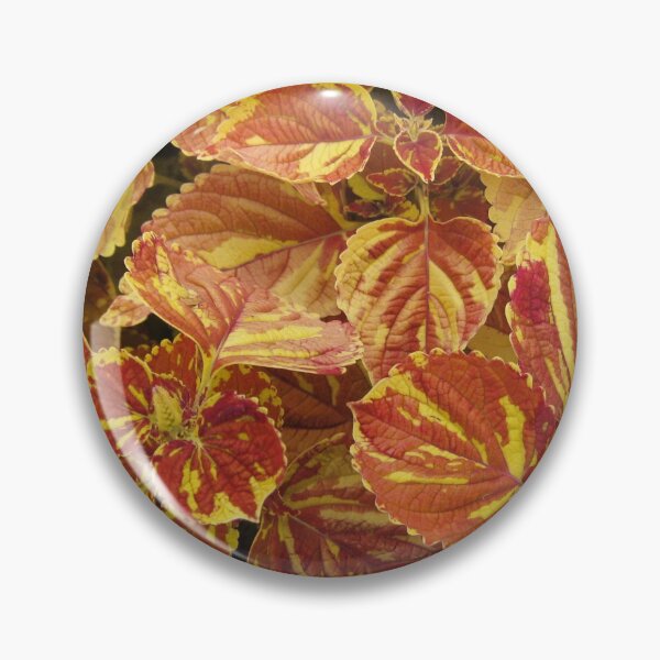 Item preview, Orange Coleus Plants in Park designed and sold by redtreespinkair.