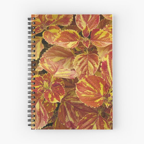 Item preview, Orange Coleus Plants in Park designed and sold by redtreespinkair.