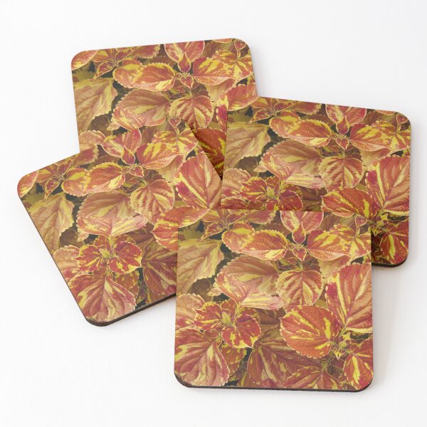 Item preview, Orange Coleus Plants in Park designed and sold by redtreespinkair.