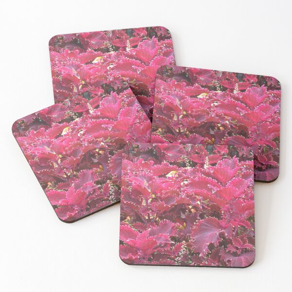 Item preview, Red Coleus in the park designed and sold by redtreespinkair.