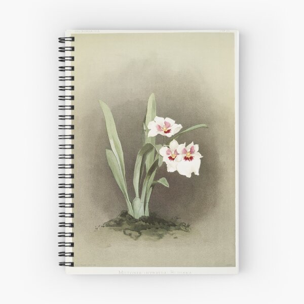 Item preview, Reichenbachia: Orchids Illustrated and Described designed and sold by EsotericBotanic.
