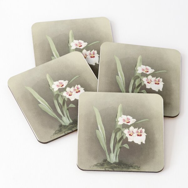 Item preview, Reichenbachia: Orchids Illustrated and Described designed and sold by EsotericBotanic.