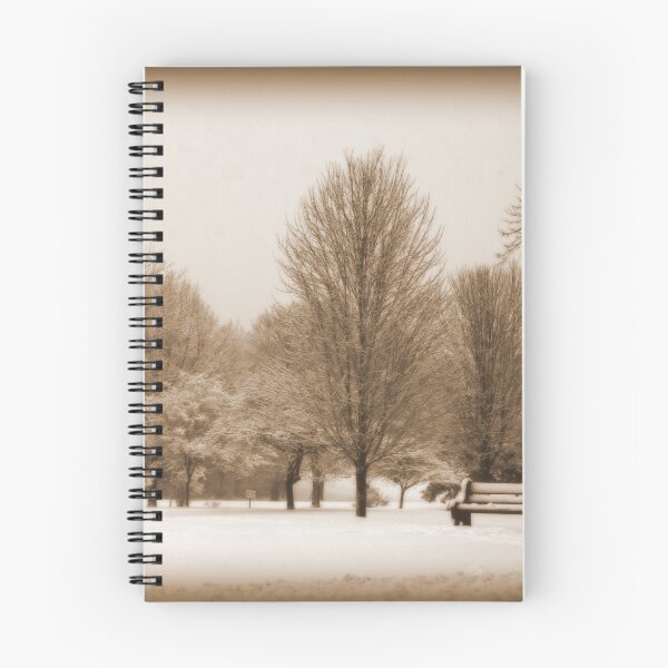 Item preview, A Winter's Scene designed and sold by kkphoto1.