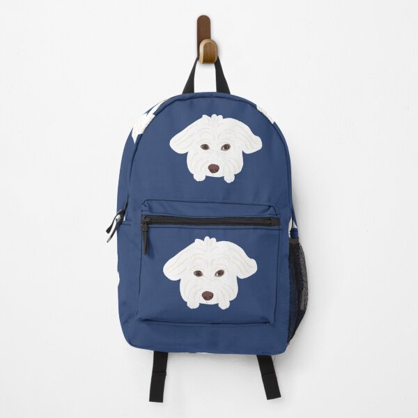 maltipoo accessories