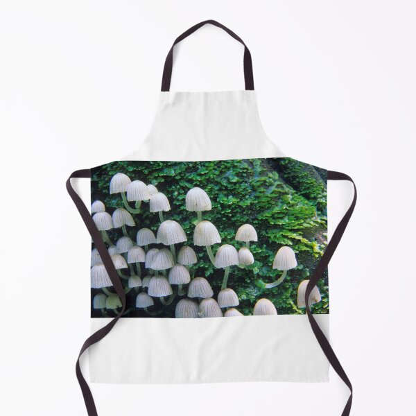 Item preview, Mushrooms designed and sold by Travis Easton.