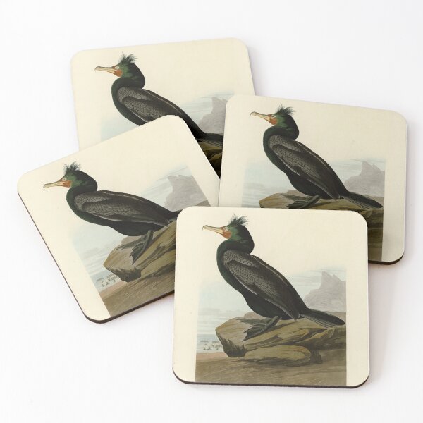 Item preview, 257 Double crested Cormorant designed and sold by Bird-Lore.