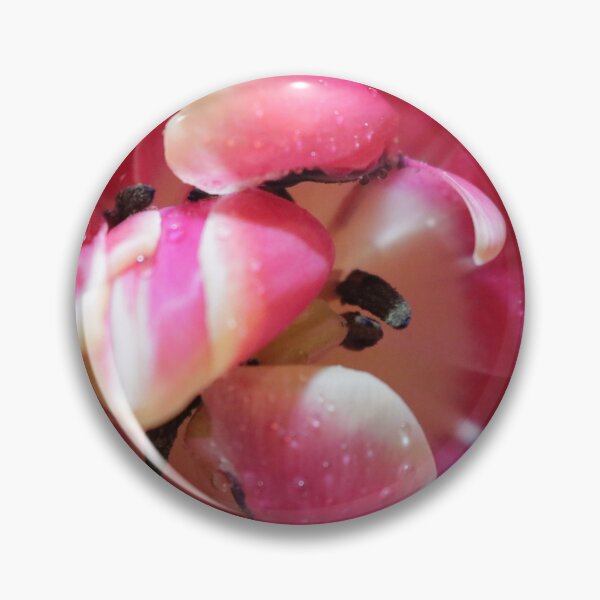 Aperçu de l'œuvre Amour rose tulipe créée et vendue par Van Maulding.