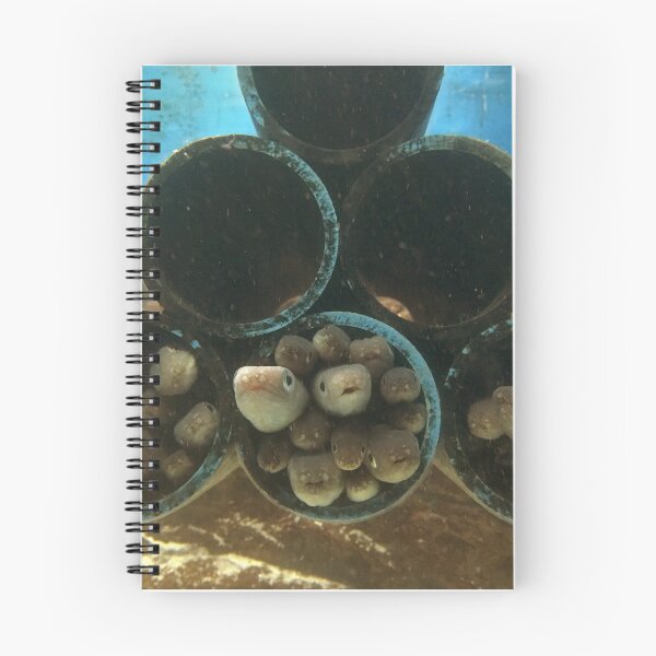 Item preview, Pipe Dreams designed and sold by David Bath.