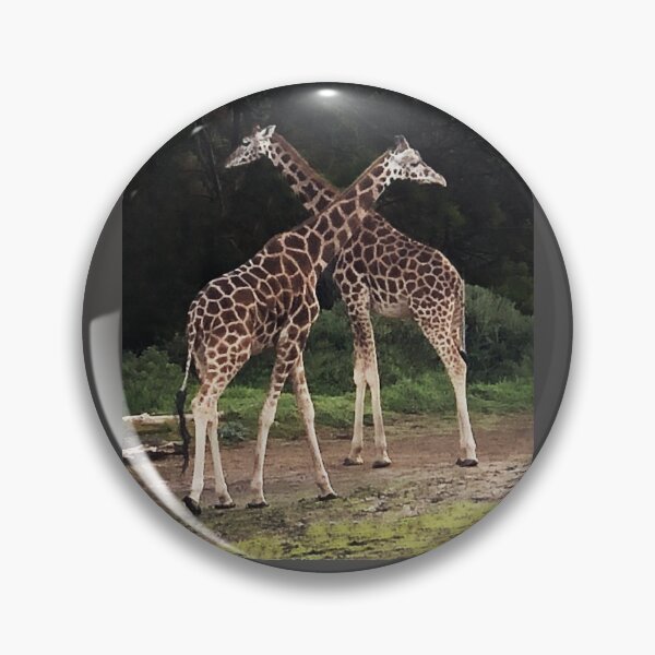 Item preview, Two Giraffes designed and sold by Roz McQuillan Fine Art & Photography.