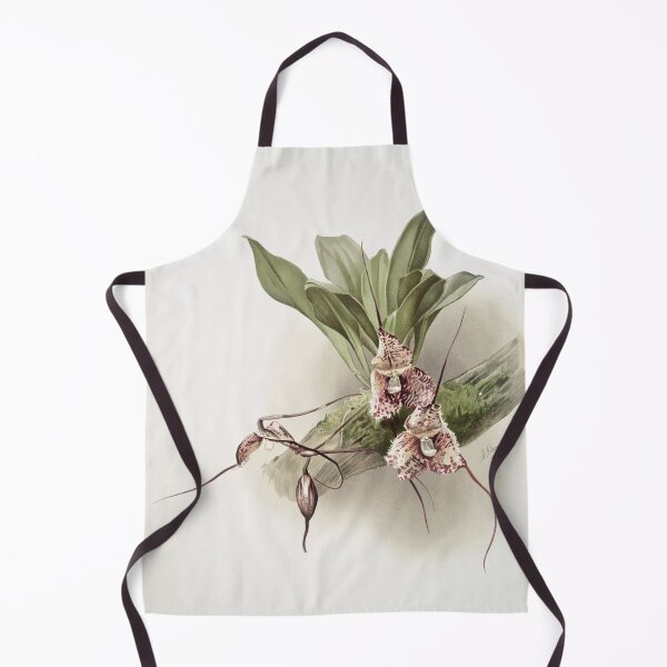 Item preview, Reichenbachia: Orchids Illustrated and Described designed and sold by EsotericBotanic.