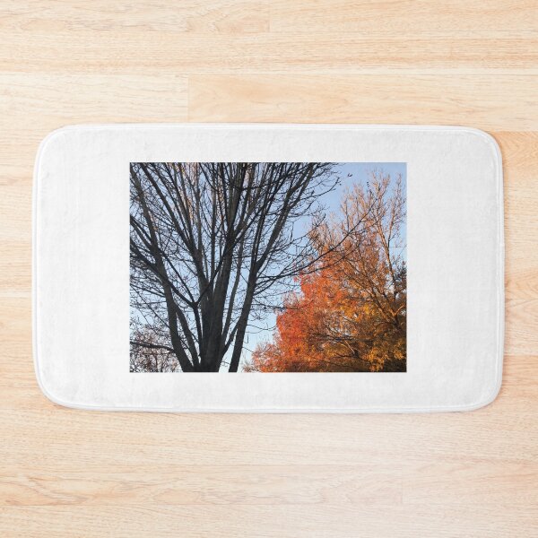 Item preview, Autumn to Winter designed and sold by Roz McQuillan Fine Art & Photography.